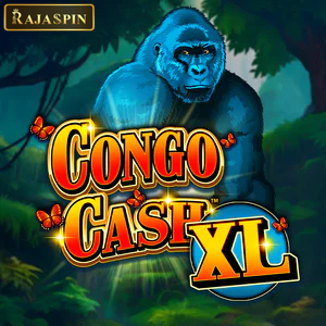 congo cash xl